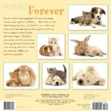 Friends Forever 2008 9781416280859 Front Cover