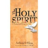 Holy Spirit A Pentecostal Perspective