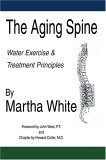 Aging Spine Disorders of the Lumbar Spine 2004 9780595328871 Front Cover