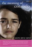 Meaning of Consuelo A Novel  9780807083871 Front Cover