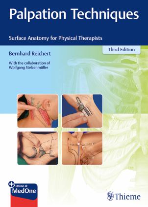 Palpations-Techniken 3rd 9783132429871 Front Cover