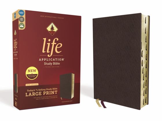 NIV Life Application Study Bible Thumb Indexed Red Letter Edition [Third Edition, Burgundy, Large Print] 2020 9780310452874 Front Cover
