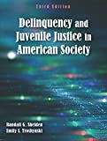 Delinquency and Juvenile Justice in American Society:  9781478634874 Front Cover