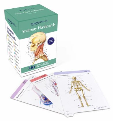 Anatomy Flashcards: 300 Flashcards with Anatomically Precise Drawings and Exhaustive Descriptions + 10 Customizable Bonus Cards and Sorting Ring for Custom Study  9781506258874 Front Cover
