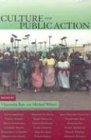 Culture and Public Action  cover art