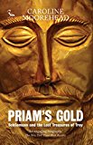 Priam's Gold Schliemann and the Lost Treasures of Troy  9781784534875 Front Cover