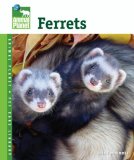 Ferrets 2007 9780793837878 Front Cover