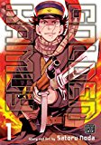 Golden Kamuy, Vol. 1  9781421594880 Front Cover