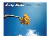 Lucky Looks 2008 9788492013883 Front Cover