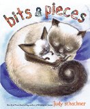 Bits &amp; Pieces 2013 9780803737884 Front Cover