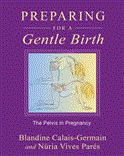 Preparing for a Gentle Birth The Pelvis in Pregnancy  9781594773884 Front Cover