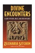 Divine Encounters A Guide to Visions, Angels, and Other Emissaries 2002 9781879181885 Front Cover