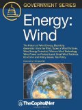 Energy Wind 2010 9781587331886 Front Cover
