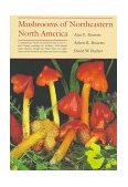 Mushrooms of Northeastern North America  9780815603887 Front Cover