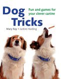 Dog Tricks Fun and Games for Your Clever Canine 2005 9781592232888 Front Cover