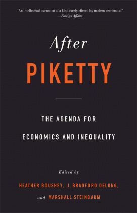After Piketty: The Agenda for Economics and Inequality  9780674237889 Front Cover