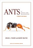 Ants of Africa and Madagascar A Guide to the Genera  9780520290891 Front Cover