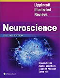 Lippincott Illustrated Reviews: Neuroscience 