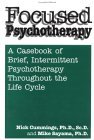 Focused Psychotherapy A Casebook of Brief, Intermittent Psychotherapy Throughout the Life Cycle  9780876307892 Front Cover