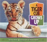 Tiger Cub Grows Up  9780822500896 Front Cover