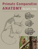 Primate Comparative Anatomy  cover art