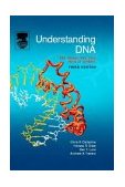 Understanding DNA The Molecule and How It Works