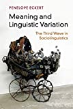 Meaning and Linguistic Variation The Third Wave in Sociolinguistics  9781107559899 Front Cover