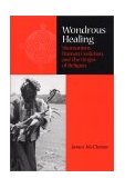 Wondrous Healing Shamanism, Human Evolution, and the Origin of Religion cover art