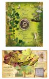 How to Find Flower Fairies  9780723258902 Front Cover