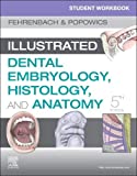 Student Workbook for Illustrated Dental Embryology, Histology and Anatomy 5th 9780323639903 Front Cover