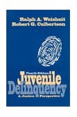 Juvenile Delinquency A Justice Perspective cover art