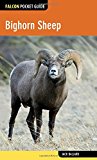 Bighorn Sheep 2014 9780762784912 Front Cover