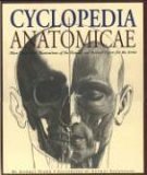 Cyclopedia Anatomicae More Than 1,500 Illustrations of the Human and Animal Figure for the Artist  9781579125912 Front Cover
