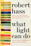 What Light Can Do Essays on Art, Imagination, and the Natural World cover art