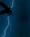 Batman Dark Knight Returns Deluxe Ed  9781401256913 Front Cover