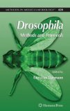 Drosophila Methods and Protocols 2010 9781617377914 Front Cover