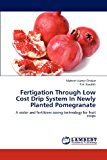 Fertigation Through Low Cost Drip System in Newly Planted Pomegranate 2012 9783659179914 Front Cover
