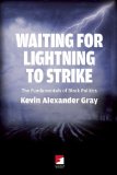 Waiting for Lightning to Strike The Fundamentals of Black Politics  9781904859918 Front Cover