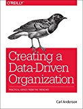 Creating a Data-Driven Organization Practical Advice from the Trenches  9781491916919 Front Cover