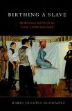 Birthing a Slave Motherhood and Medicine in the Antebellum South