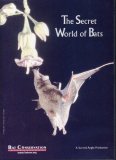 The Secret World of Bats: cover art