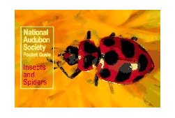 National Audubon Society Pocket Guide: Insects and Spiders 1988 9780394757926 Front Cover