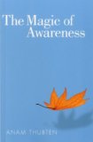 Magic of Awareness  cover art