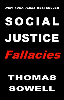 Social Justice Fallacies  9781541603929 Front Cover
