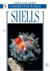 Shells 2010 9788854400931 Front Cover