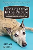 Dog Stays in the Picture How My Rescued Greyhound Helped Me Cope with My Empty Nest 2014 9781497643932 Front Cover