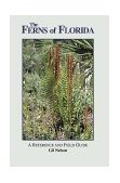 Ferns of Florida 2000 9781561641932 Front Cover