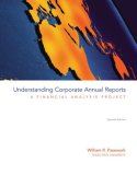 Understanding Corporate Annual Reports  cover art