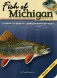 Fish of Michigan Field Guide  cover art