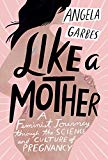 Like a Mother A Feminist Journey Through the Science and Culture of Pregnancy  9780062662941 Front Cover